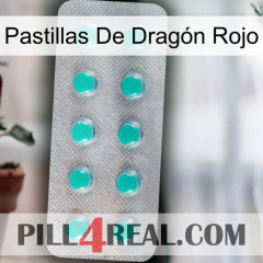 Pastillas De Dragón Rojo 28